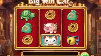 Big Win Cat情報