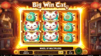 Big Win Catの特徴とボーナス