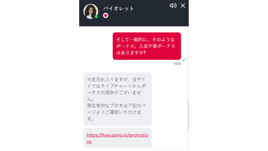 Livecasino Io - 最新オンラインカジノ日本語対応のサポート画面